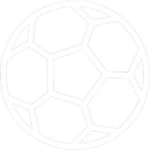 icon 13